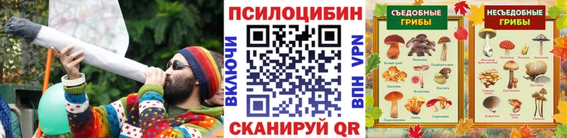Галлюциногенные грибы Psilocybine cubensis  Купить где  Пугачёв 